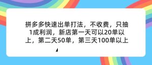 （11681期）拼多多2天起店，只合作不卖课不收费，上架产品无偿对接，只需要你回…-沧海聊项目