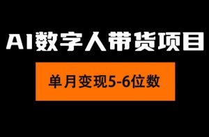 （11751期）2024年Ai数字人带货，小白就可以轻松上手，真正实现月入过万的项目-沧海聊项目
