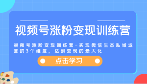 视频号涨粉变现训练营-实现微信生态私域运营的3个维度,达到变现的最大化-沧海聊项目
