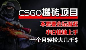 CSGO 装备搬砖项目，操作简单，不需要会玩游戏，小白也能快速上手，一个月轻松大几千【揭秘】-沧海聊项目