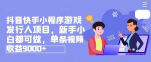 抖音快手小程序游戏发行人项目，新手小白都可做，单条视频收益9000+-沧海聊项目