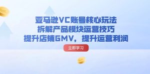 （11848期）亚马逊VC账号核心玩法，拆解产品模块运营技巧，提升店铺GMV，提升运营利润-沧海聊项目