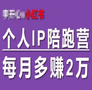 小红书个人IP陪跑营,60天拥有自动转化成交的双渠道个人IP,每月多赚2w-沧海聊项目