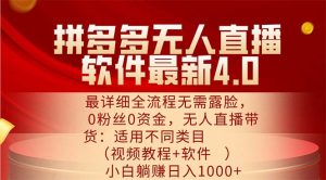 （11891期）拼多多无人直播软件最新4.0，最详细全流程无需露脸，0粉丝0资金， 小白…-沧海聊项目