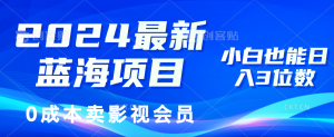（11894期）2024最新蓝海项目，0成本卖影视会员，小白也能日入3位数-沧海聊项目