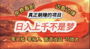 （11866期）免费看剧，边看边赚，日入上千不是梦，一个真正的躺赚项目-沧海聊项目