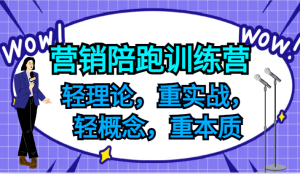 营销陪跑训练营,轻理论,重实战,轻概念,重本质,适合中小企业和初创企业的老板-沧海聊项目