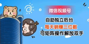 (11910期)微信视频号自助独立后台每天躺赚三位数可矩阵操作解放双手-沧海聊项目