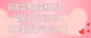 同城搭子相亲新玩法一篇帖子引流80人当日变现3600元(项目教程+实操教程)【揭秘】-沧海聊项目