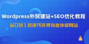 WordPress外贸建站+SEO优化教程，从0到1搭建可获得询盘外贸网站（57节课）-沧海聊项目