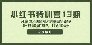 (11963期)小红书特训营13期,从定位/到起号/到变现全路径,0-1打造赚钱IP,月入10w+-沧海聊项目