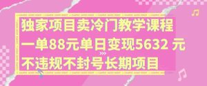 独家项目卖冷门教学课程一单88元单日变现5632元违规不封号长期项目【揭秘】-沧海聊项目