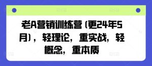 老A营销训练营(更24年7月),轻理论,重实战,轻概念,重本质-沧海聊项目