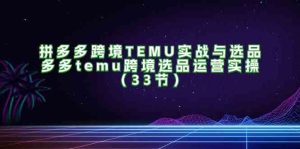 拼多多跨境TEMU实战与选品,多多temu跨境选品运营实操(33节)-沧海聊项目