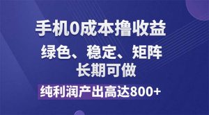 （11976期）纯利润高达800+，手机0成本撸羊毛，项目纯绿色，可稳定长期操作！-沧海聊项目