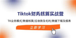 （11978期）Tiktok财务核算实战营：TK业务模式/数据核算/应收款及毛利/数据下载及报表-沧海聊项目