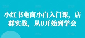小红书电商小白入门课，店群实战，从0开始到学会-沧海聊项目