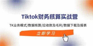 Tiktok财务核算实战营：TK业务模式/数据核算/应收款及毛利/数据下载及报表-沧海聊项目