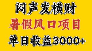 30天赚了7.5W 暑假风口项目,比较好学,2天左右上手-沧海聊项目