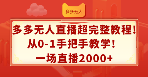 （12008期）多多无人直播超完整教程!从0-1手把手教学！一场直播2000+-沧海聊项目