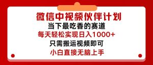 （12017期）微信中视频伙伴计划，仅靠搬运就能轻松实现日入500+，关键操作还简单，…-沧海聊项目