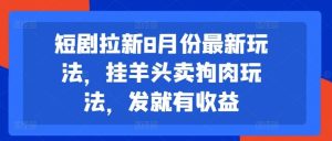 短剧拉新8月份最新玩法,挂羊头卖狗肉玩法,发就有收益-沧海聊项目