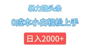 （12068期）暴力撸头条，0成本小白轻松上手，日入2000+-沧海聊项目