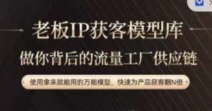 老板IP流量供应链，动作越少，账号越好，使用拿来就能用的万能模型，快速为产品获客翻N倍-沧海聊项目