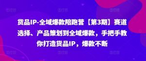 货品IP全域爆款陪跑营【第3期】赛道选择、产品策划到全域爆款,手把手教你打造货品IP,爆款不断-沧海聊项目