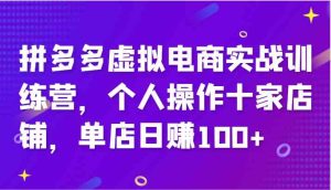 拼多多虚拟电商实战训练营，个人操作十家店铺，单店日赚100+-沧海聊项目