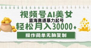 （12087期）视频号AI美女跳舞，轻松月入30000+，蓝海赛道，流量池巨大，起号猛，无…-沧海聊项目