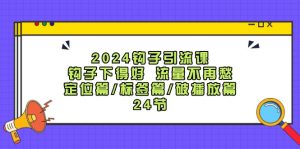 （12097期）2024钩子·引流课：钩子下得好 流量不再愁，定位篇/标签篇/破播放篇/24节-沧海聊项目