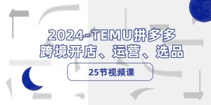 （12106期）2024-TEMU拼多多·跨境开店、运营、选品（25节视频课）-沧海聊项目