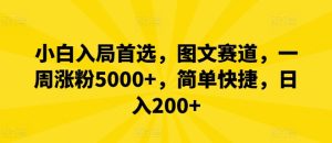 小白入局首选，图文赛道，一周涨粉5000+，简单快捷，日入200+-沧海聊项目