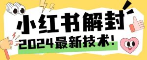 2024最新小红书账号封禁解封方法,无限释放手机号-沧海聊项目