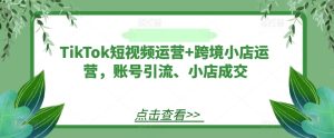 TikTok短视频运营+跨境小店运营,账号引流、小店成交-沧海聊项目