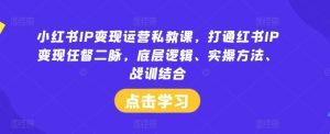 小红书IP变现运营私教课,打通红书IP变现任督二脉,底层逻辑、实操方法、战训结合-沧海聊项目