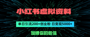 （12164期）小红书虚拟资料日引流200+创业粉，单日变现5000+-沧海聊项目