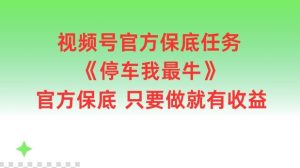 视频号官方保底任务，停车我最牛，官方保底只要做就有收益【揭秘】-沧海聊项目