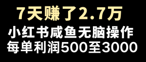 七天赚了2.7万！每单利润最少500+，轻松月入5万+小白有手就行-沧海聊项目