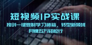 短视频IP实战课，独创一键复制学习秘籍，转战新领域，月赚五万轻松行-沧海聊项目
