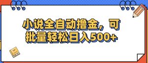 （12244期）小说全自动撸金，可批量日入500+-沧海聊项目
