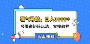 （12255期）日入3000+ 骚气导航，多渠道矩阵玩法，实操教程-沧海聊项目