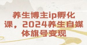 养生博主ip孵化课，2024养生自媒体旗号变现-沧海聊项目
