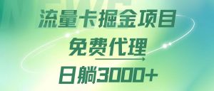 （12321期）流量卡掘金代理，日躺赚3000+，变现暴力，多种推广途径-沧海聊项目