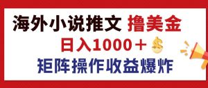 （12333期）最新海外小说推文撸美金，日入1000＋ 蓝海市场，矩阵放大收益爆炸-沧海聊项目