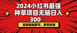 （12336期）2024小红书最强种草项目，无脑日入300+，复制粘帖即可，多劳多得-沧海聊项目