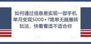 如何通过信息差实现一部手机单月变现5000+?简单无脑搬砖玩法，快看看适不适合你【揭秘】-沧海聊项目