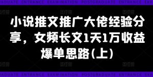 小说推文推广大佬经验分享，女频长文1天1万收益爆单思路(上)-沧海聊项目