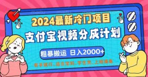 （12407期）2024最新冷门项目！支付宝视频分成计划，直接粗暴搬运，日入2000+，有…-沧海聊项目